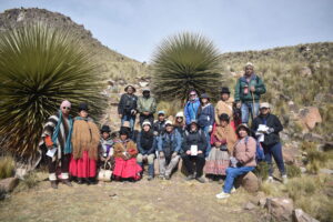 Conservación en el Altiplano: La Puya raimondii, testigo silencioso del cambio