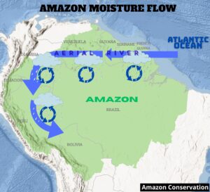 La Amazonía de Perú y Bolivia serían las primeras en llegar al punto  de inflexión ecológico, advierte nuevo estudio