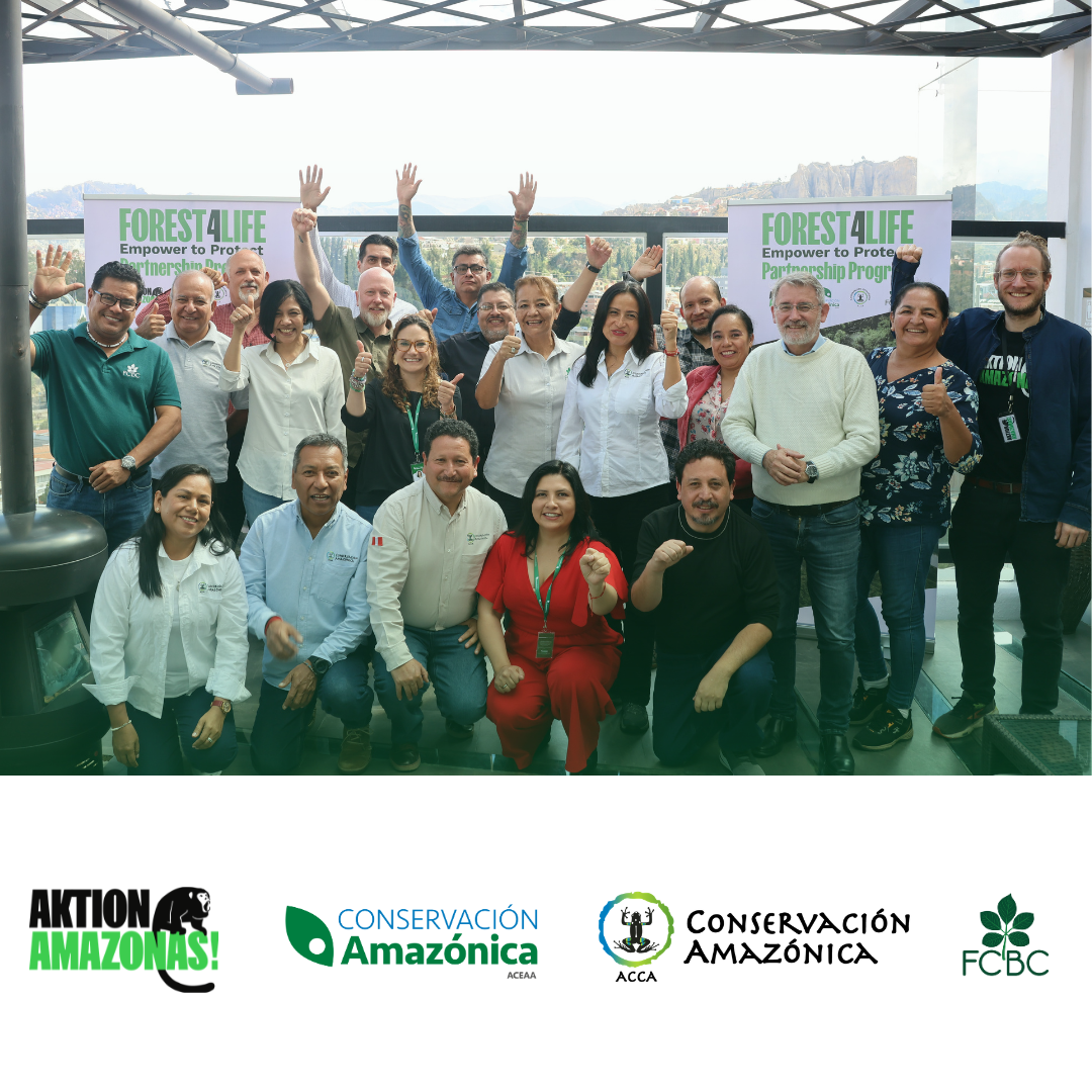 Forest4Life: la iniciativa internacional para proteger y conectar paisajes clave en América del Sur