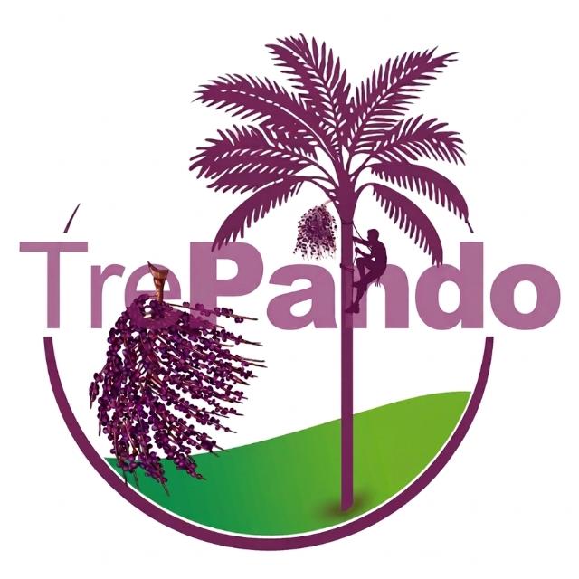 TrePando:  la comunidad donde más personas cosechan y comparten el conocimiento del bosque 